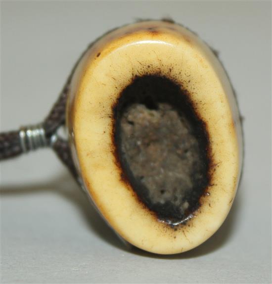 A Japanese stag antler netsuke of a shi-shi, Asakuso School, Edo period, 3.8cm